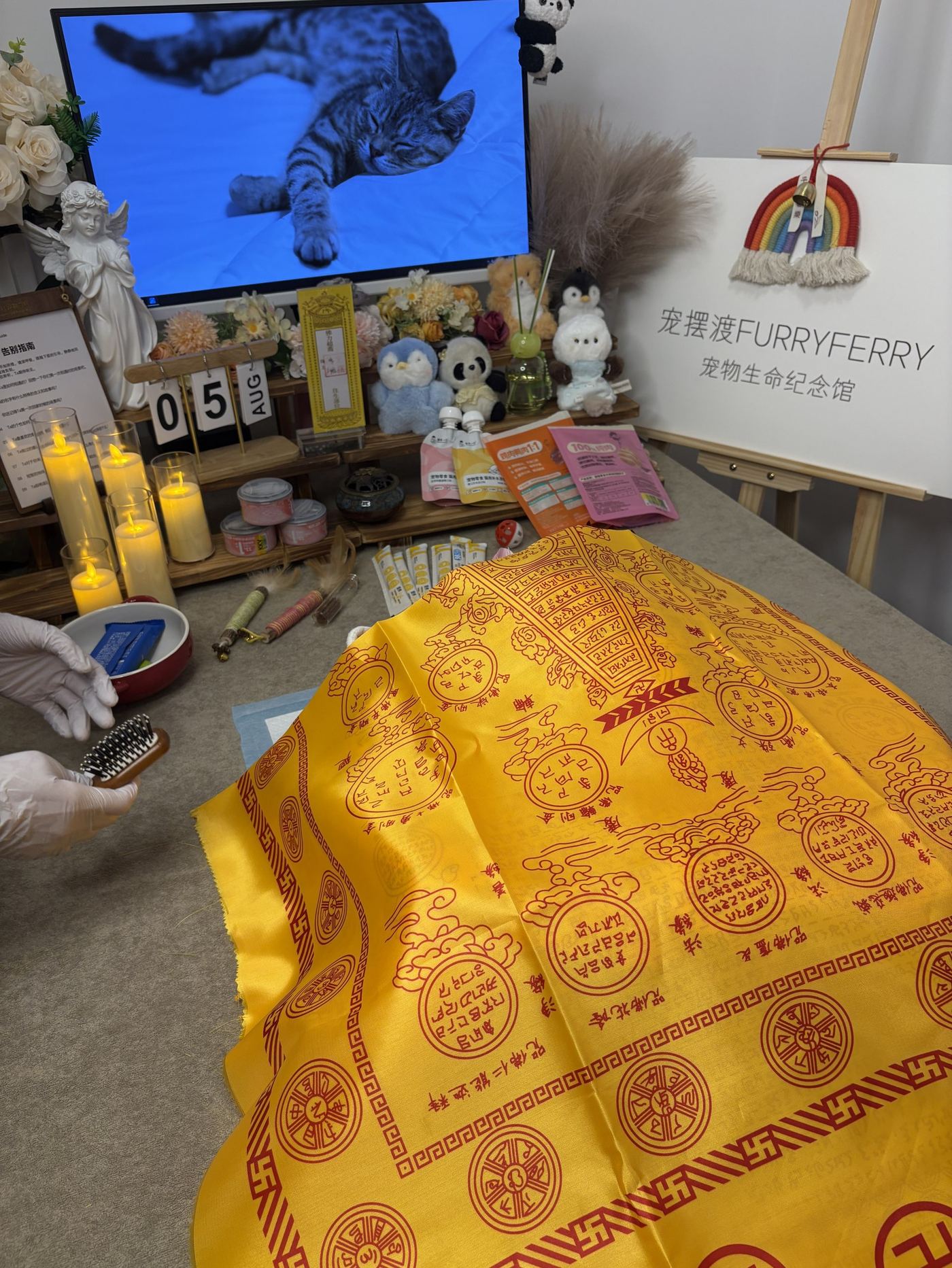 告别厅长什么样