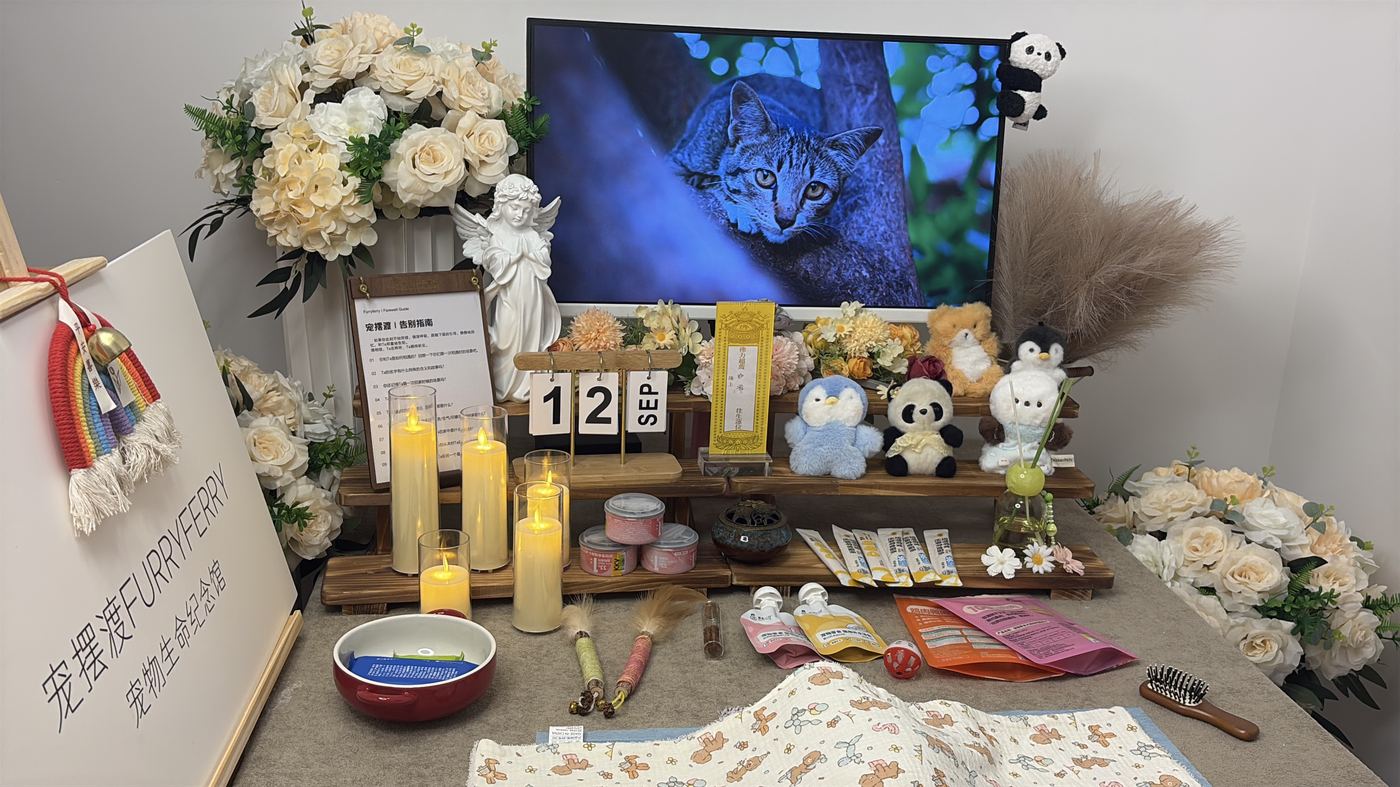 如何面对宠物离世的悲伤？写给常州养宠人的心理支持