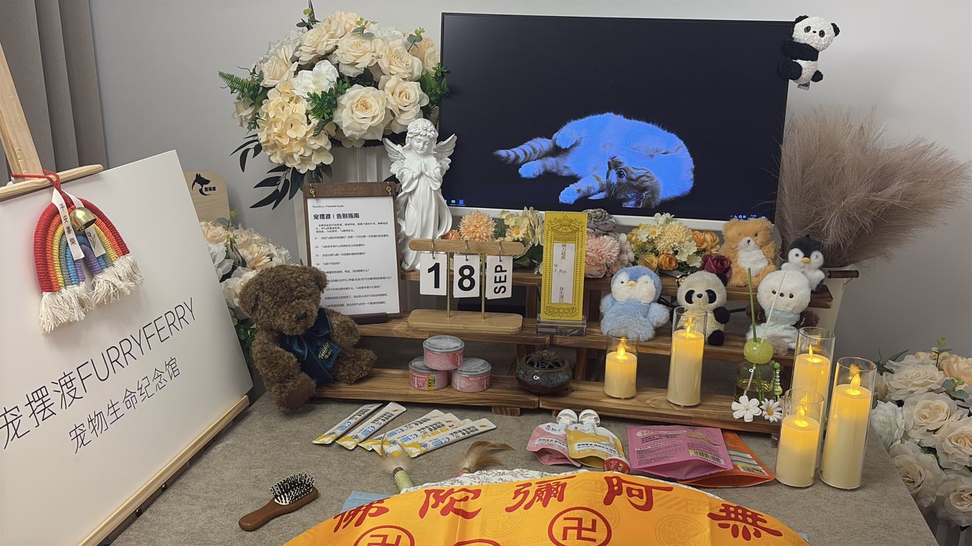 常州宠物告别厅布置：如何给龙城家属一个体面的告别