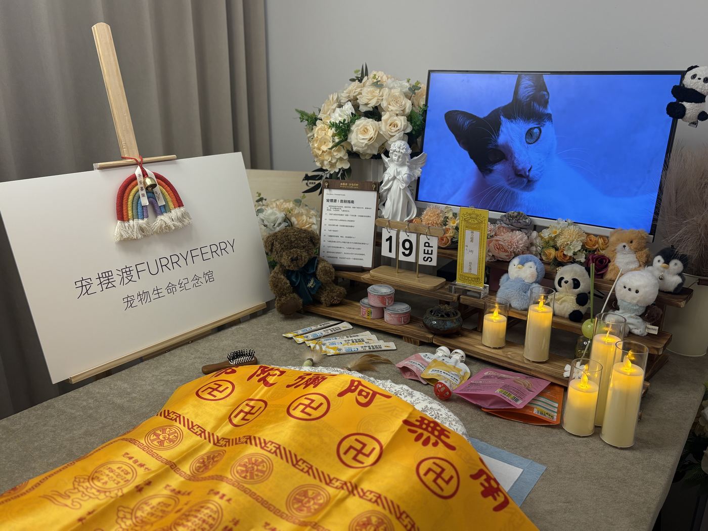 这段时间的陪伴方式
