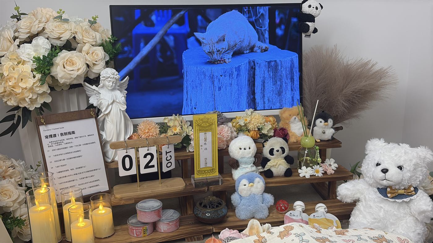 节日期间宠物殡葬服务安排：常州春节与清明假期指南
